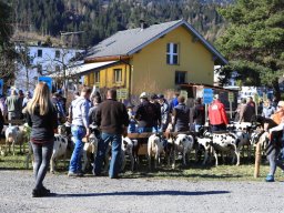 2019_ausstellung polling_138